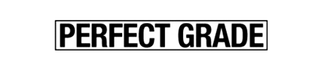 Perfect grade logo